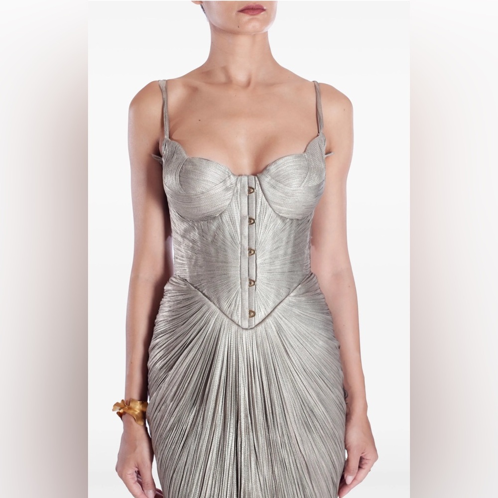 Maria Lucia Hohan Noemie Corset Slip Gown - Picture 5 of 7